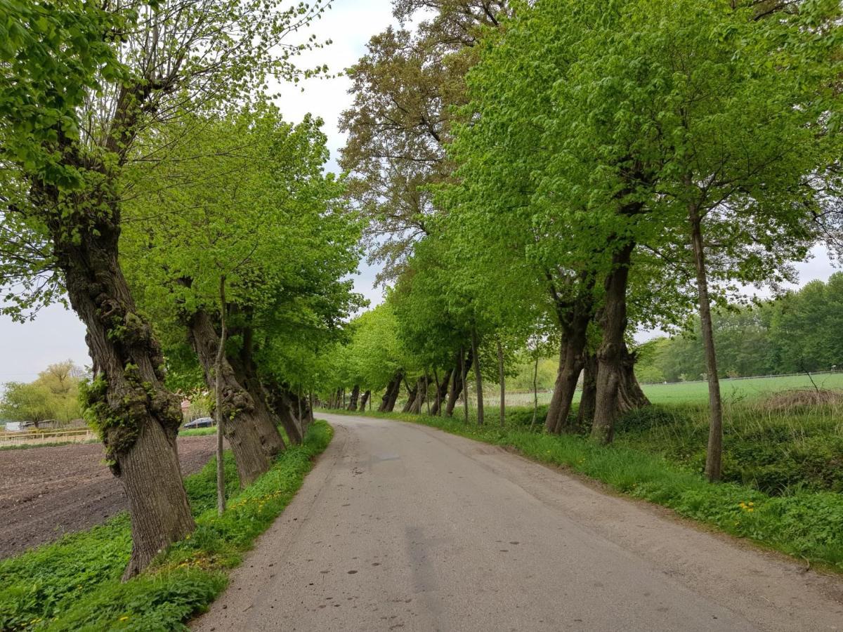 Ferienwohnung Varus Ostercappeln エクステリア 写真