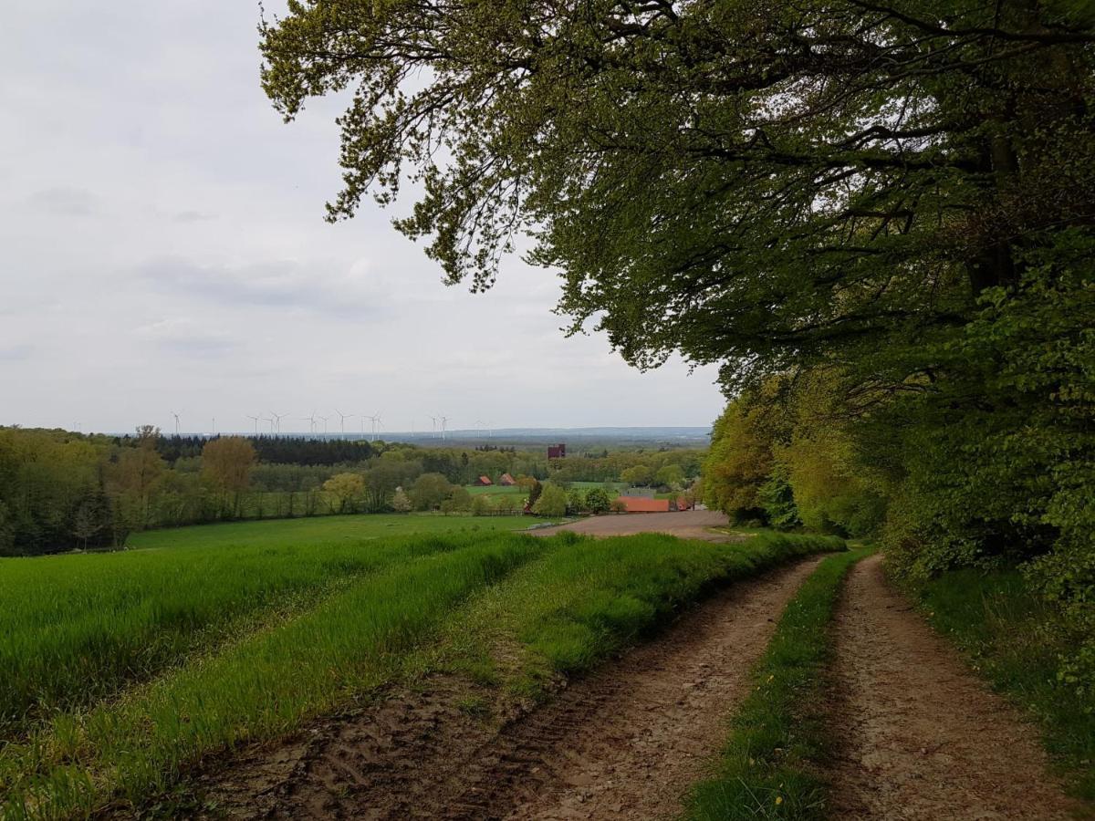 Ferienwohnung Varus Ostercappeln エクステリア 写真